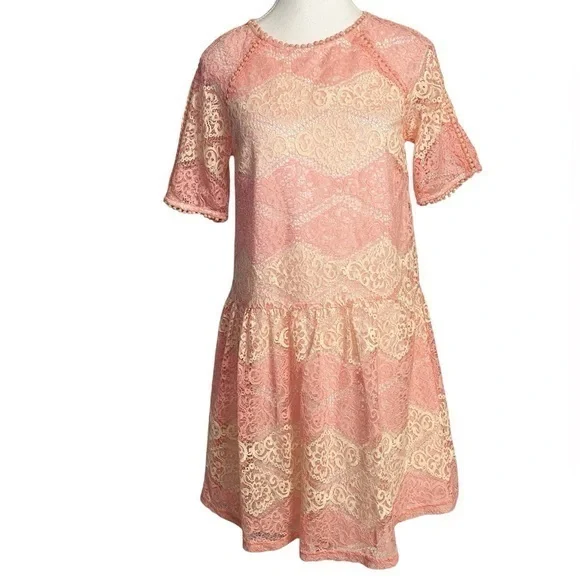 Everly Pink and Cream Lace Mini Dress NWT - Picture 1 of 14